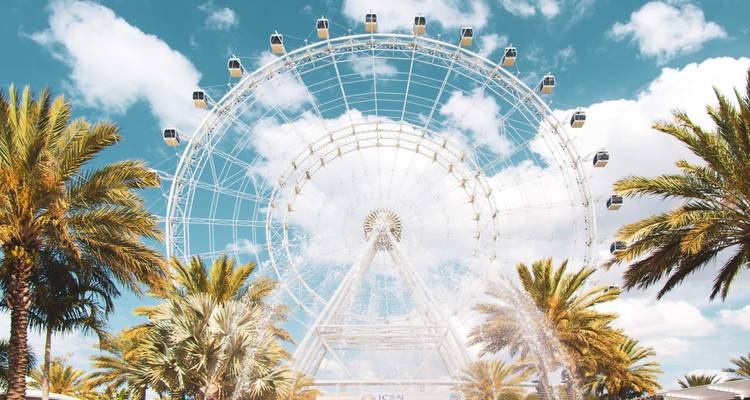 Een groot reuzenrad met palmbomen eromheen.