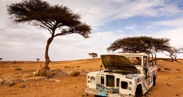 Desert landscape with a derelict vehicle beneath an acacia tree.