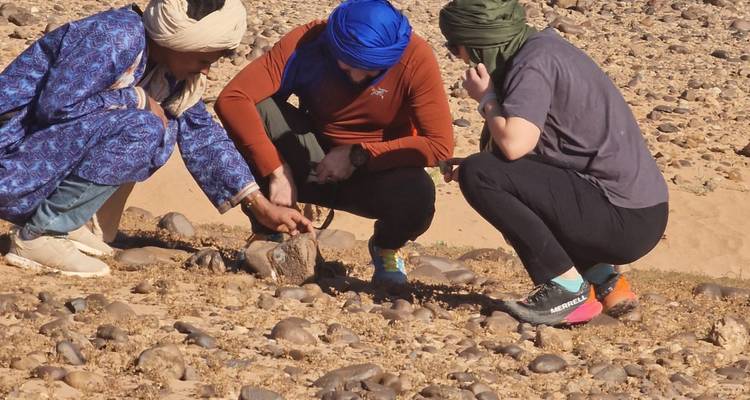 Three people examining rocks in a desert area.