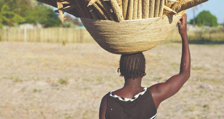 Person carrying a basket of goods on their head in a rural area.