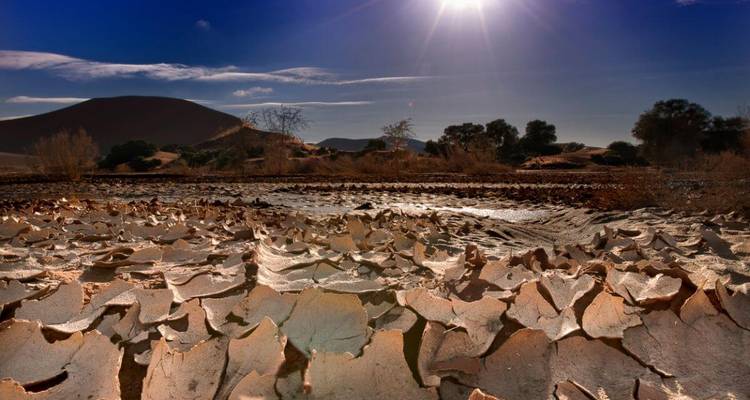 Dried cracked earth under a bright sun.