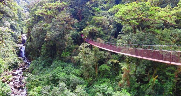 Pont suspendu à travers une forêt dense avec une cascade.