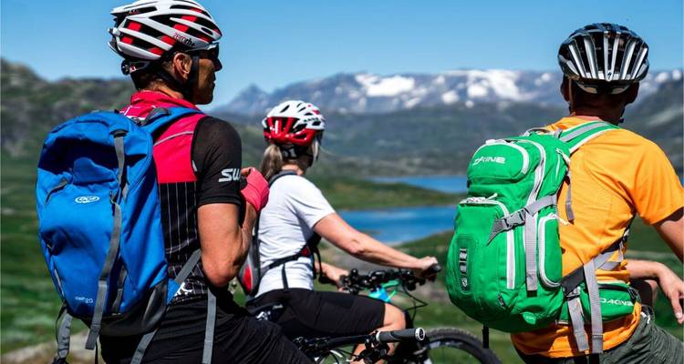 Des cyclistes profitant de la vue sur le lac et les montagnes.
