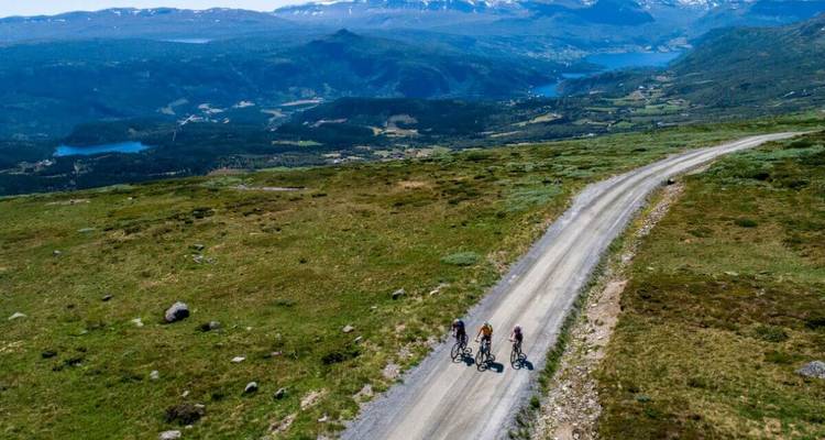 Vue panoramique de cyclistes sur une route de montagne.