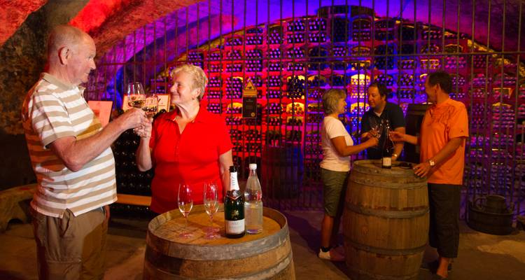 Menschen, die Wein in einem Weinkeller genießen, umgeben von Fässern und beleuchtet von bunten Lichtern.