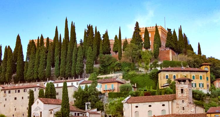 Hilltop castle surrounded by tall cypress trees.