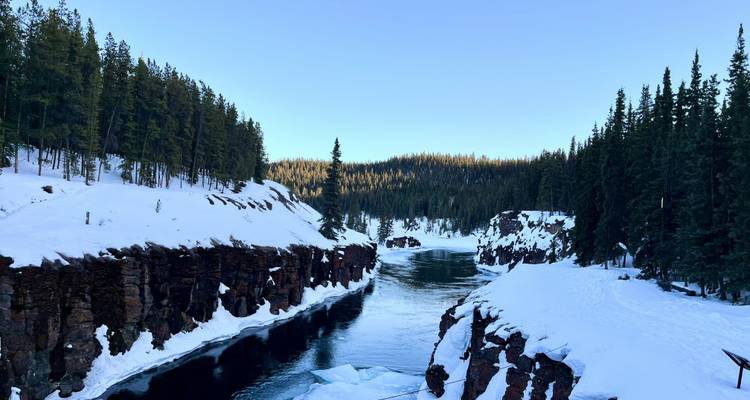 Met sneeuw bedekte kloof met een bevroren rivier die er doorheen stroomt, omringd door dennenbomen.