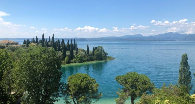 Vue pittoresque au bord du lac avec des arbres verts et une eau bleue claire.