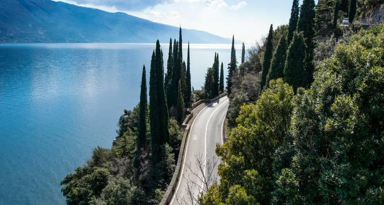 Route le long d'un lac avec des cyprès et une eau bleue claire.