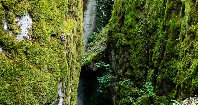 Mossy rocky outcroppings in a green forest.