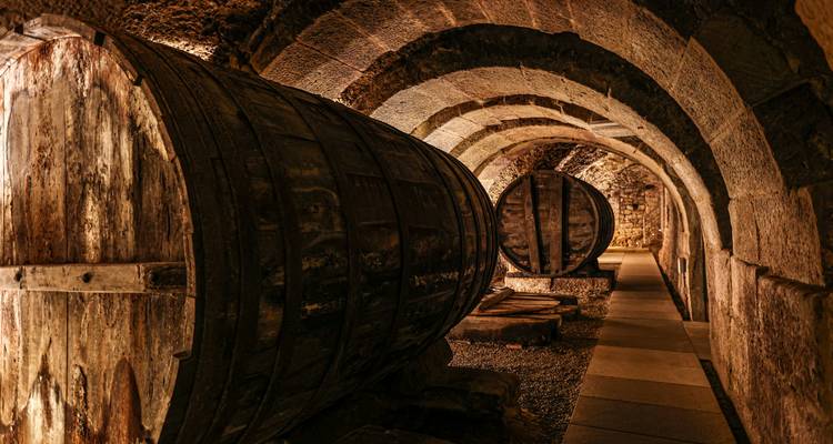 Old wine barrels in an arched stone cellar.