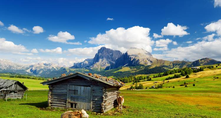 Scenic view of a cabin on a meadow with cows and mountains in the background.