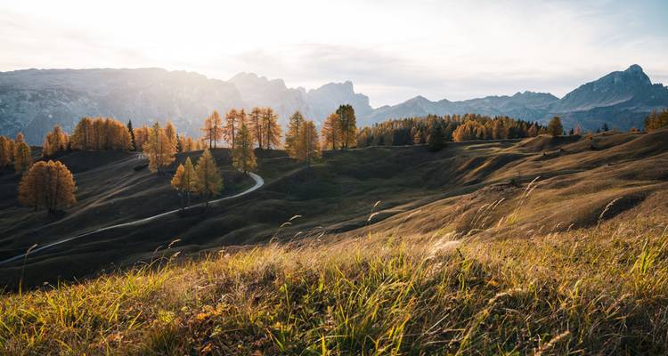 Scenic autumn landscape with rolling hills and sparse trees at sunset.