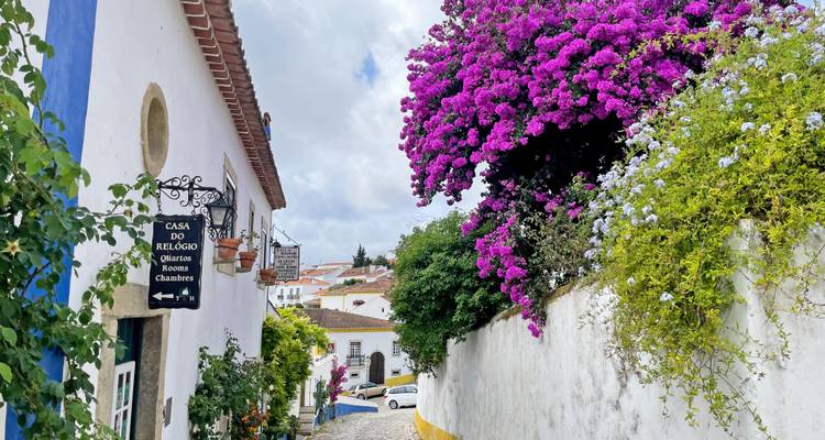 Charmante schmale Straße mit bunten Blumen