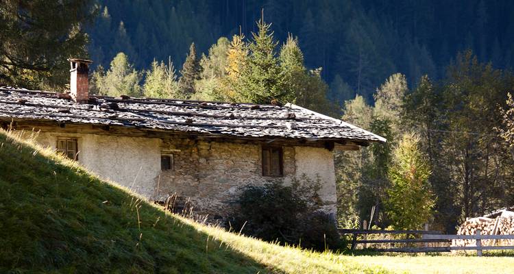 Rustikales Haus in einer Waldumgebung