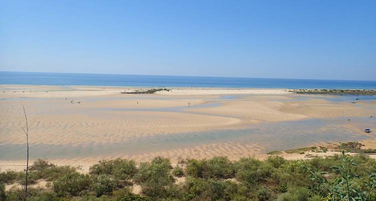 Plage de sable et mer bleue calme sous un ciel dégagé.