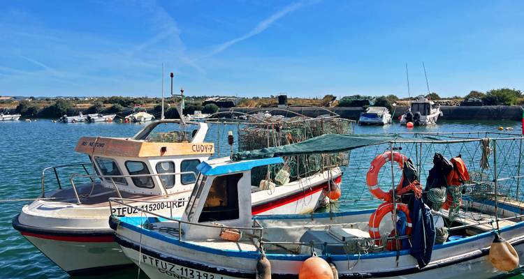 Bunte Fischerboote mit Netzen und Bojen treiben in einem ruhigen Hafen unter klarem Himmel.