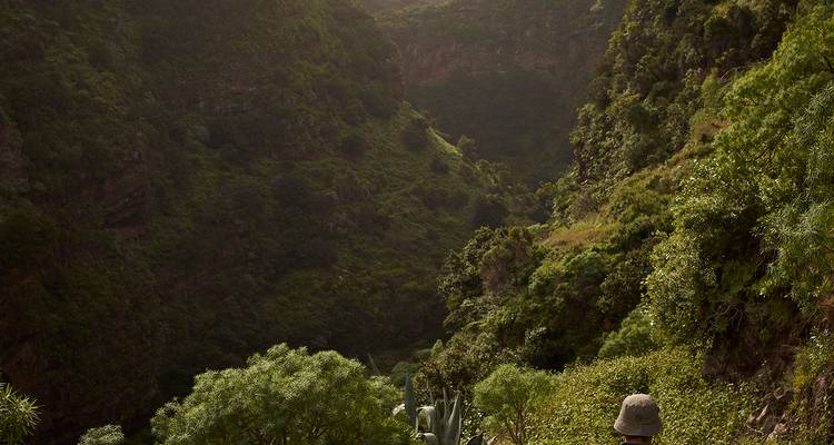 Canyon verdoyant avec une personne portant un chapeau au premier plan.