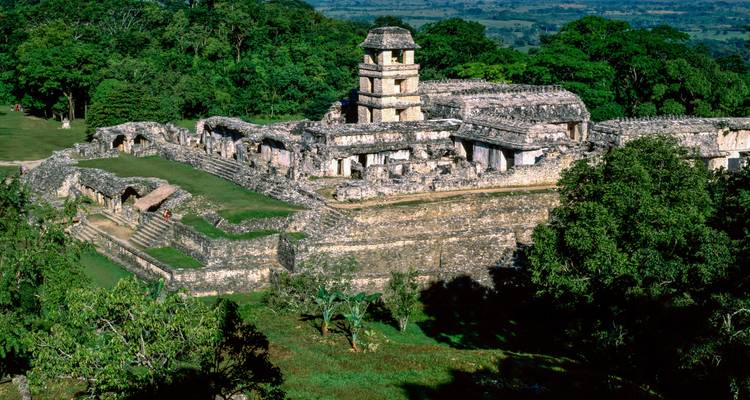 Anciennes ruines mayas entourées d'une végétation luxuriante.