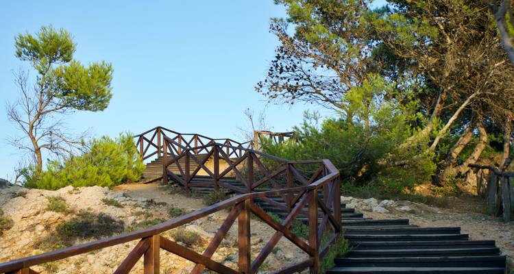 Escaleras de madera y barandillas que suben por una ladera arenosa entre pinos bajo un cielo despejado.