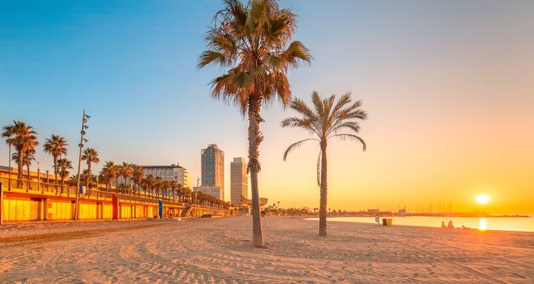 Strandblick bei Sonnenuntergang mit ruhigem Wasser und Palmen.