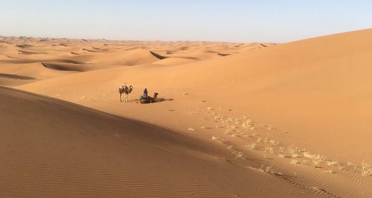 Expansive view of desert sand dunes with a lone camel rider.