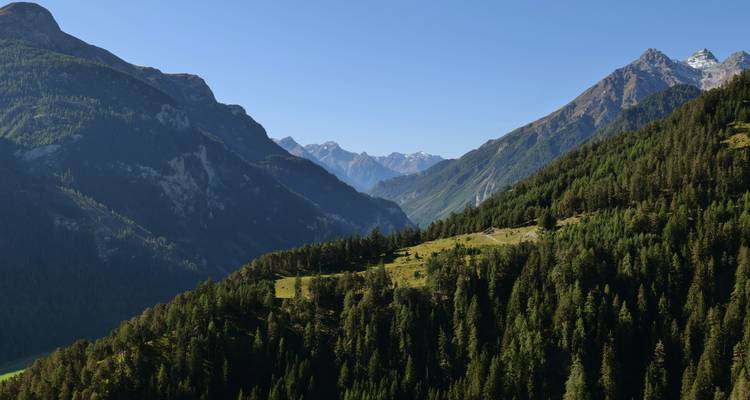 Ein Panoramablick auf ein bewaldetes Tal mit Bergketten im Hintergrund.