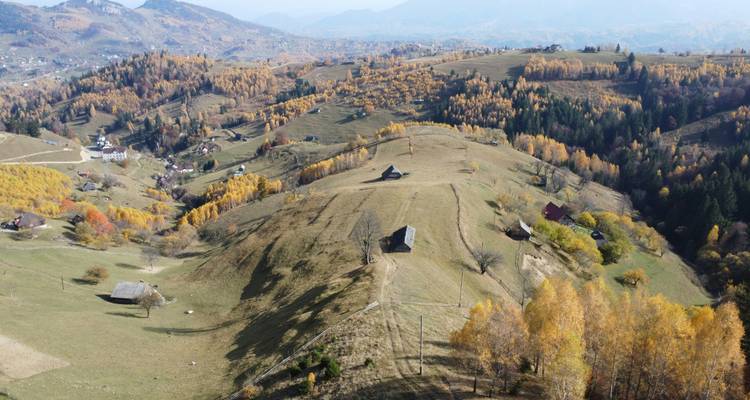 Vue aérienne spectaculaire d'un paysage vallonné avec des arbres clairsemés.