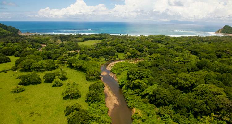 Une rivière qui coule à travers un paysage verdoyant avec l'océan en arrière-plan.