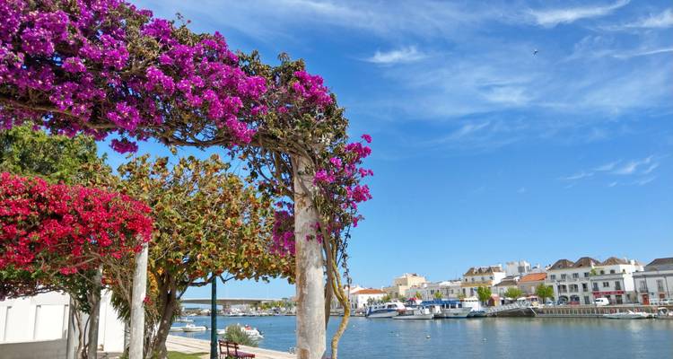 Un arco de bugambilia colorida enmarca una marina fluvial apacible con edificios blancos bajo un cielo azul vívido.