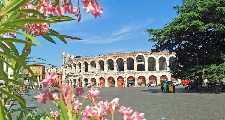 L'antique Arène de Vérone encadrée par des fleurs roses en fleurs sous un ciel d'été bleu éclatant.