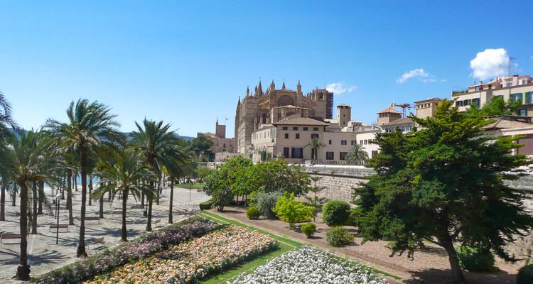 Cathédrale de Palma de Majorque s'élevant au-dessus d'un parc bordé de palmiers et de parterres de fleurs sous un ciel bleu.