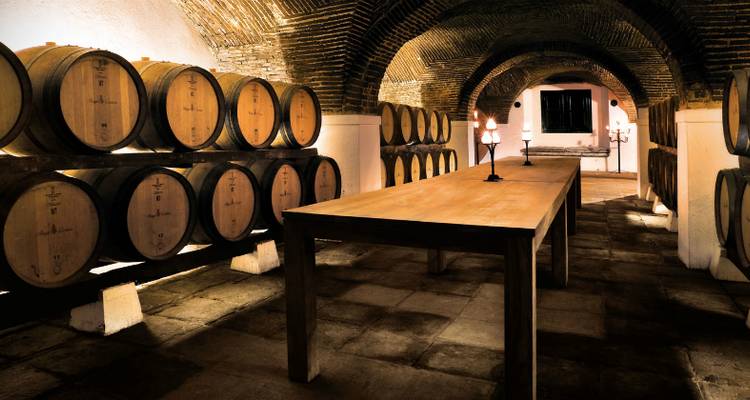 Interior of a wine cellar with wooden barrels lining the walls and a wooden table.
