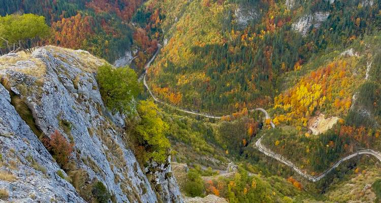 Bergwegzicht met herfstgebladerte.