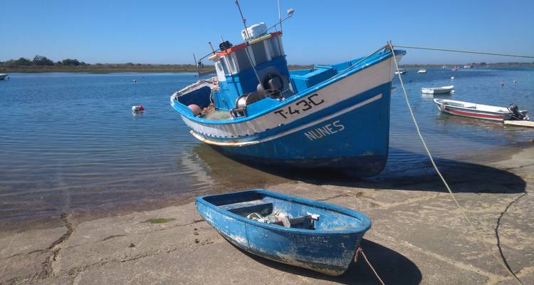 Een blauwe vissersboot genaamd 'Nunes' op een kust.