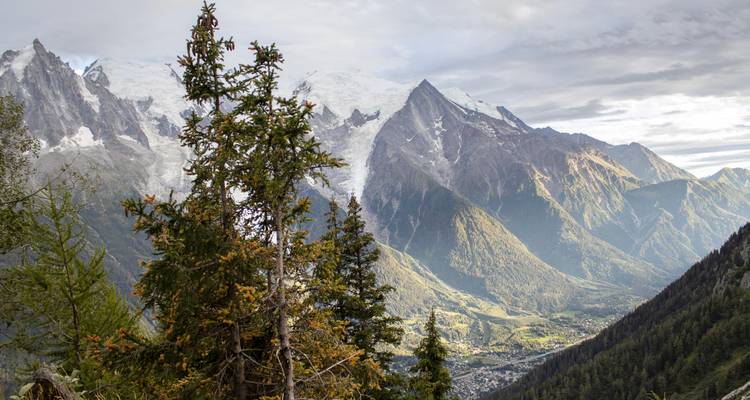 Wald und Berge mit einem teilweise bewölkten Himmel.
