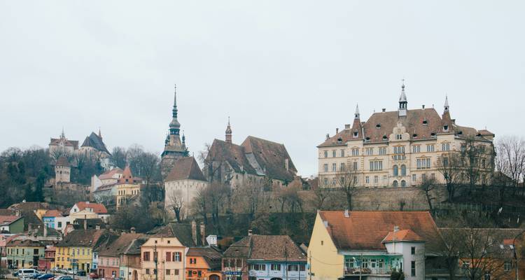 Vue panoramique d'une ville historique avec des églises.