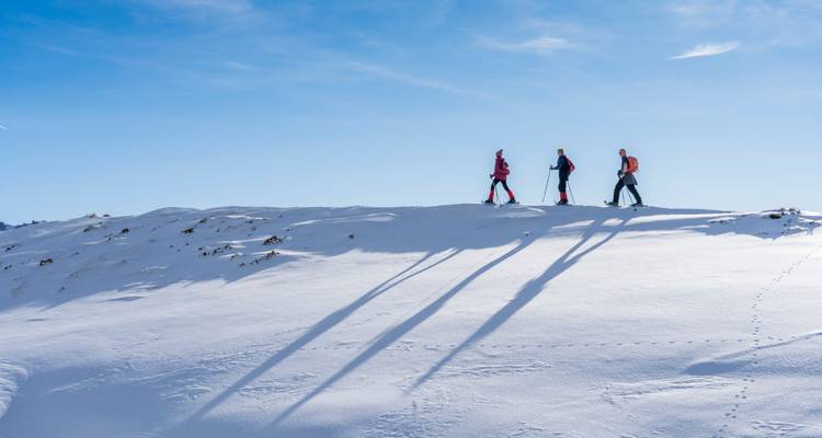 Randonneurs marchant sur une crête enneigée avec des ombres projetées sur la neige