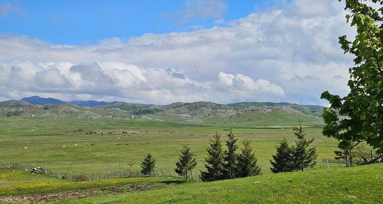 Open field with scattered trees and distant mountains under a blue sky.