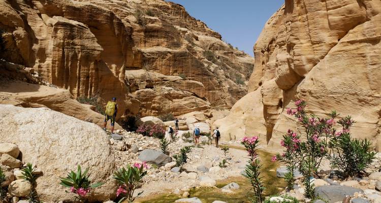 Eine kleine Gruppe von Trekkern wandert durch eine enge Sandsteinschlucht, die mit blühenden Sträuchern übersät ist.