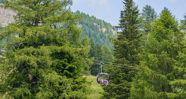 Two people on a chairlift amidst lush green pine trees in a mountainous area.