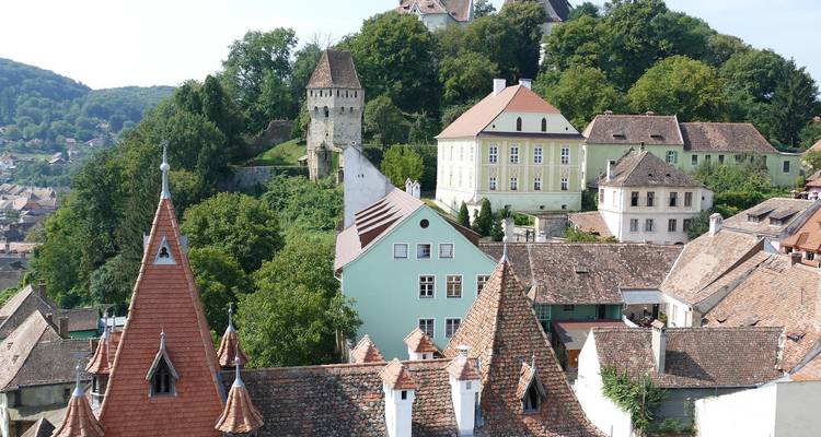 Vue de ville historique avec des bâtiments colorés entourés d'arbres.