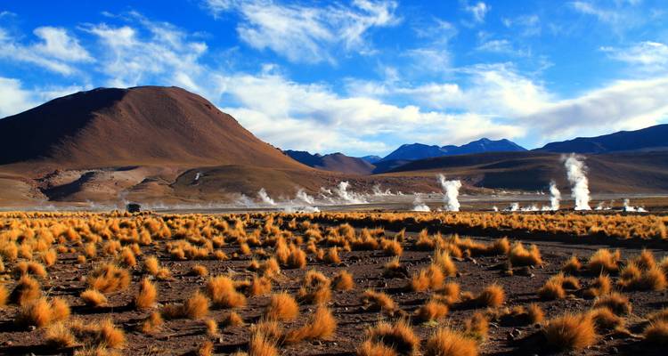 Geisers die stoom uitstoten in een droog, grasachtig landschap met bergen op de achtergrond.