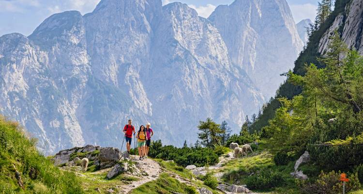 Des randonneurs sur un sentier de montagne avec des moutons qui paissent et des pics rocheux imposants en arrière-plan.