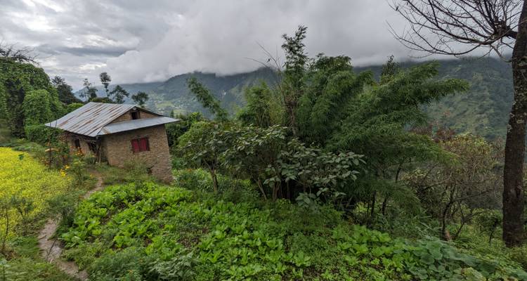 Paysage rural pittoresque avec une petite maison, une végétation luxuriante et des montagnes sous un ciel nuageux.