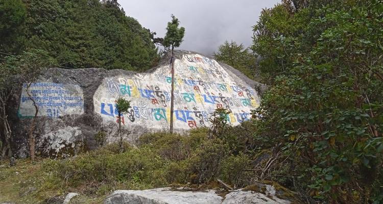 Roches peintes colorées avec des prières parmi une végétation luxuriante.