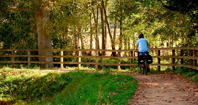 Cycliste roulant le long d'un sentier boisé avec la lumière du soleil filtrant à travers les feuilles.