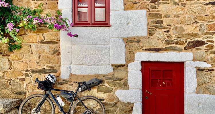 Fahrrad, das an einer Steinmauer mit leuchtenden Blumen lehnt.