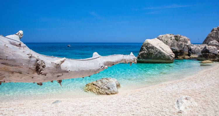 Plage de sable blanc tranquille avec un tronc de bois flotté blanchi au premier plan, des eaux peu profondes émeraude et des affleurements rocheux sous un ciel bleu dégagé.
