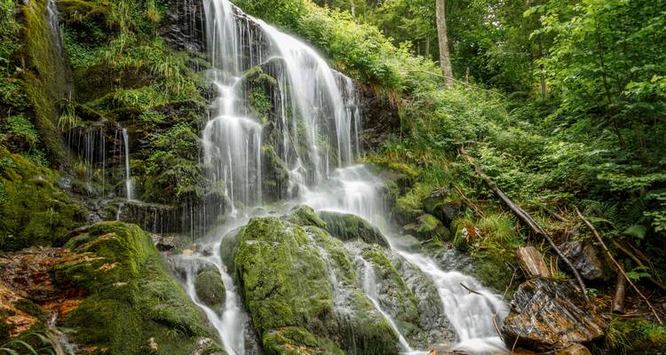 Una cascada que fluye sobre rocas cubiertas de musgo en un bosque exuberante.